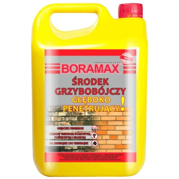 Schimmelschutzmittel 5L tief durchdringend Boramax